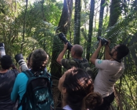Visitantes fotografam mais de 170 aves no Três Picos