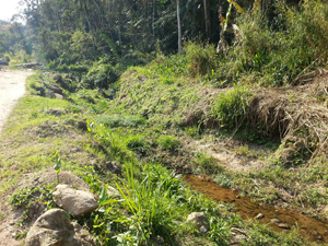 Cenas de Nova Friburgo em olhar. Este córrego, no Lagoinha, é motivo de insatisfação dos moradores com o poder público, que o abandonou após as fortes chuvas de 2011. O curso do rio foi alterado e hoje ainda encontra-se sem qualquer intervenção das autoridades competentes
Cenas de Nova Friburgo em olhar. Este córrego, no Lagoinha, é motivo de insatisfação dos moradores com o poder público, que o abandonou após as fortes chuvas de 2011. O curso do rio foi alterado e hoje ainda encontra-se sem qualquer intervenção das autoridades competentes