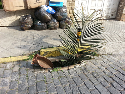 PERIGOS URBANOS
Um leitor atento fez e enviou a foto, clicada na manhã de ontem.
“Na Rua Monsenhor Miranda, este bueiro está sem proteção, sinalizado apenas de forma improvisada com uma grande folha. Fica o alerta à população e à administração pública.”