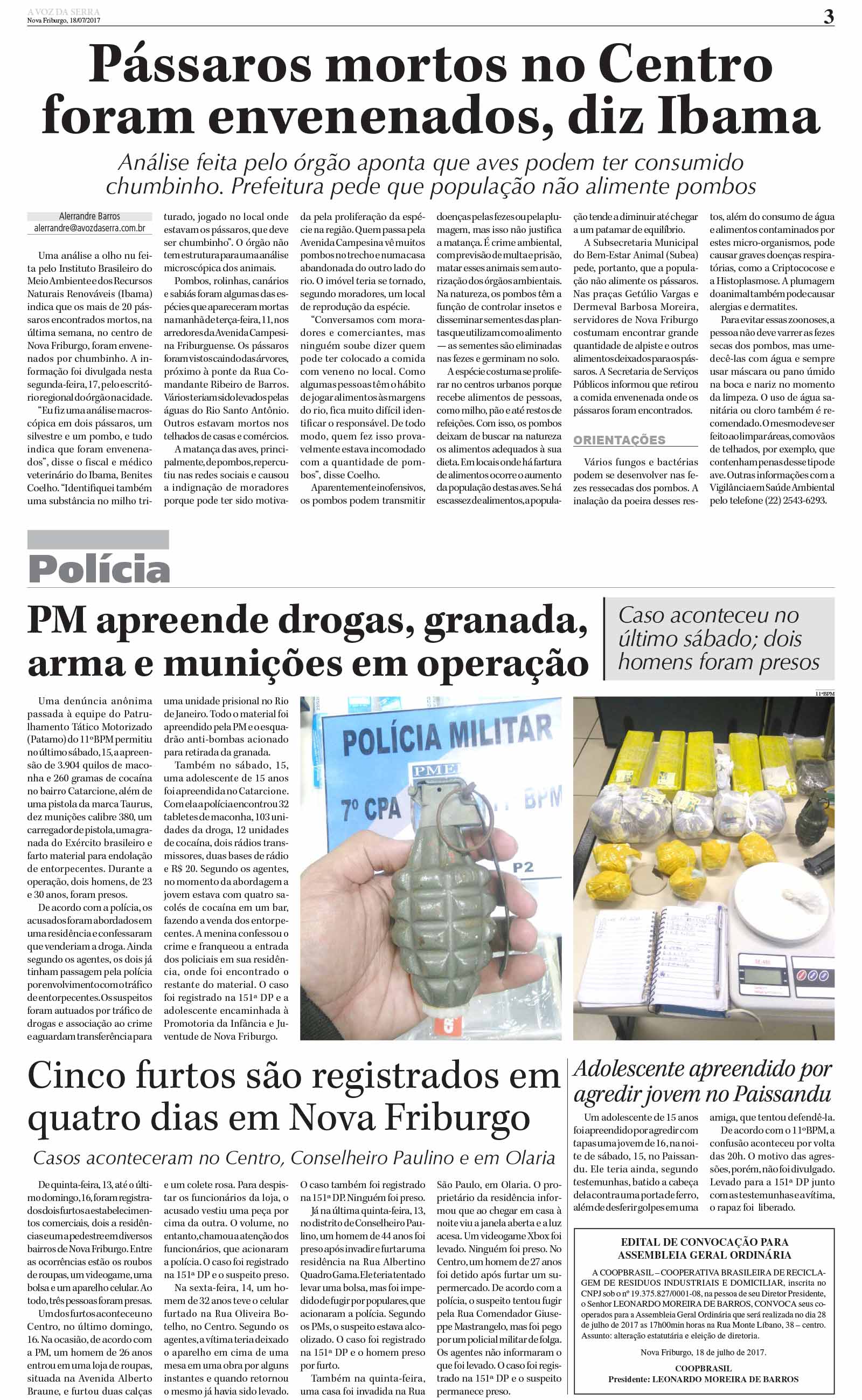 P&aacute;gina