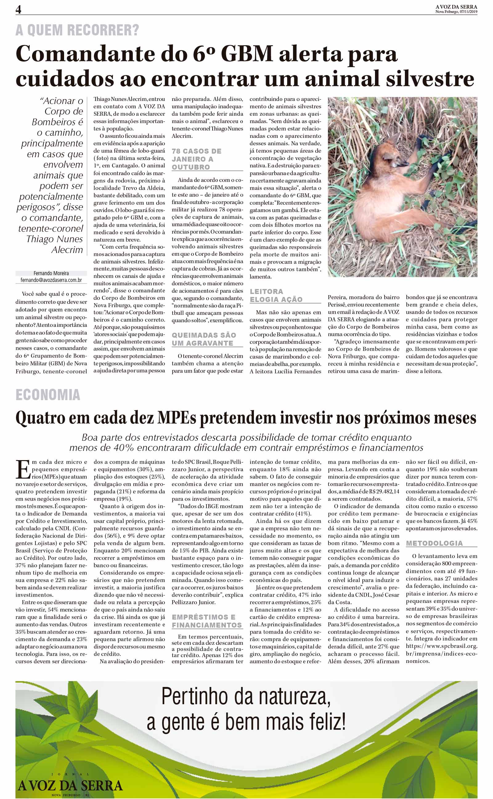 P&aacute;gina