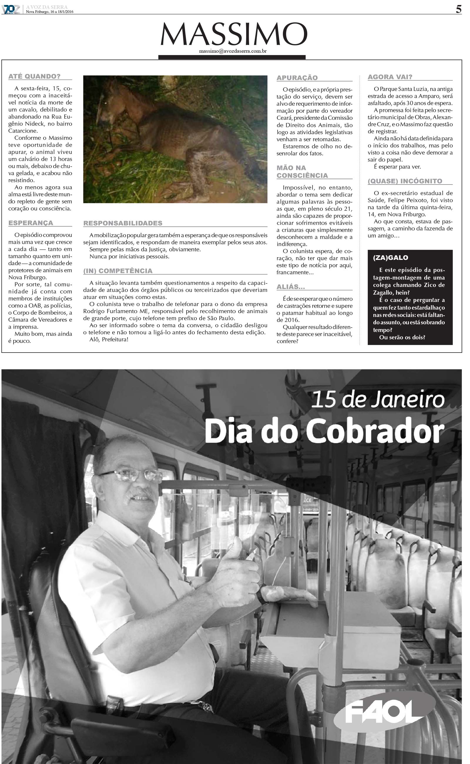 P&aacute;gina