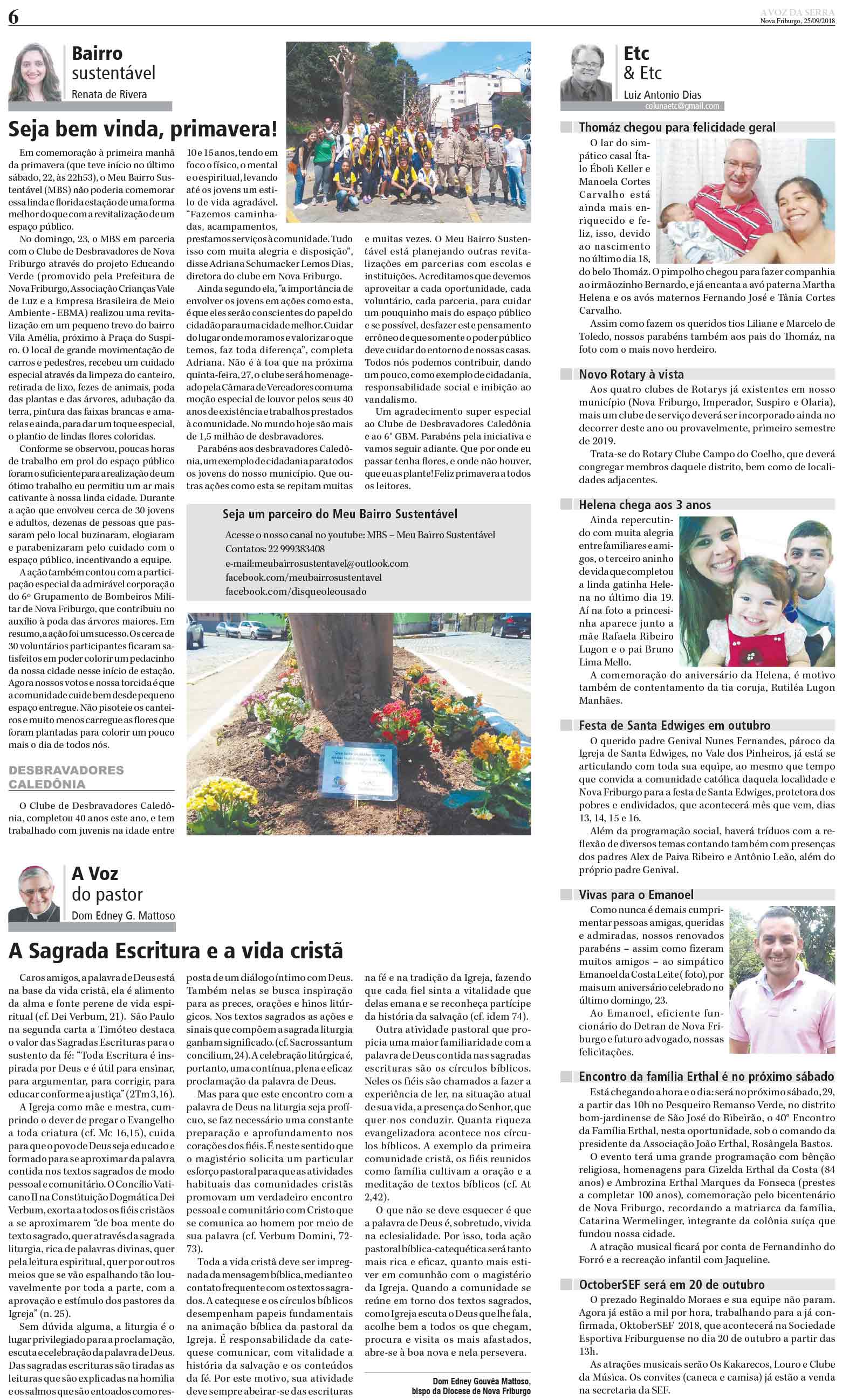 P&aacute;gina