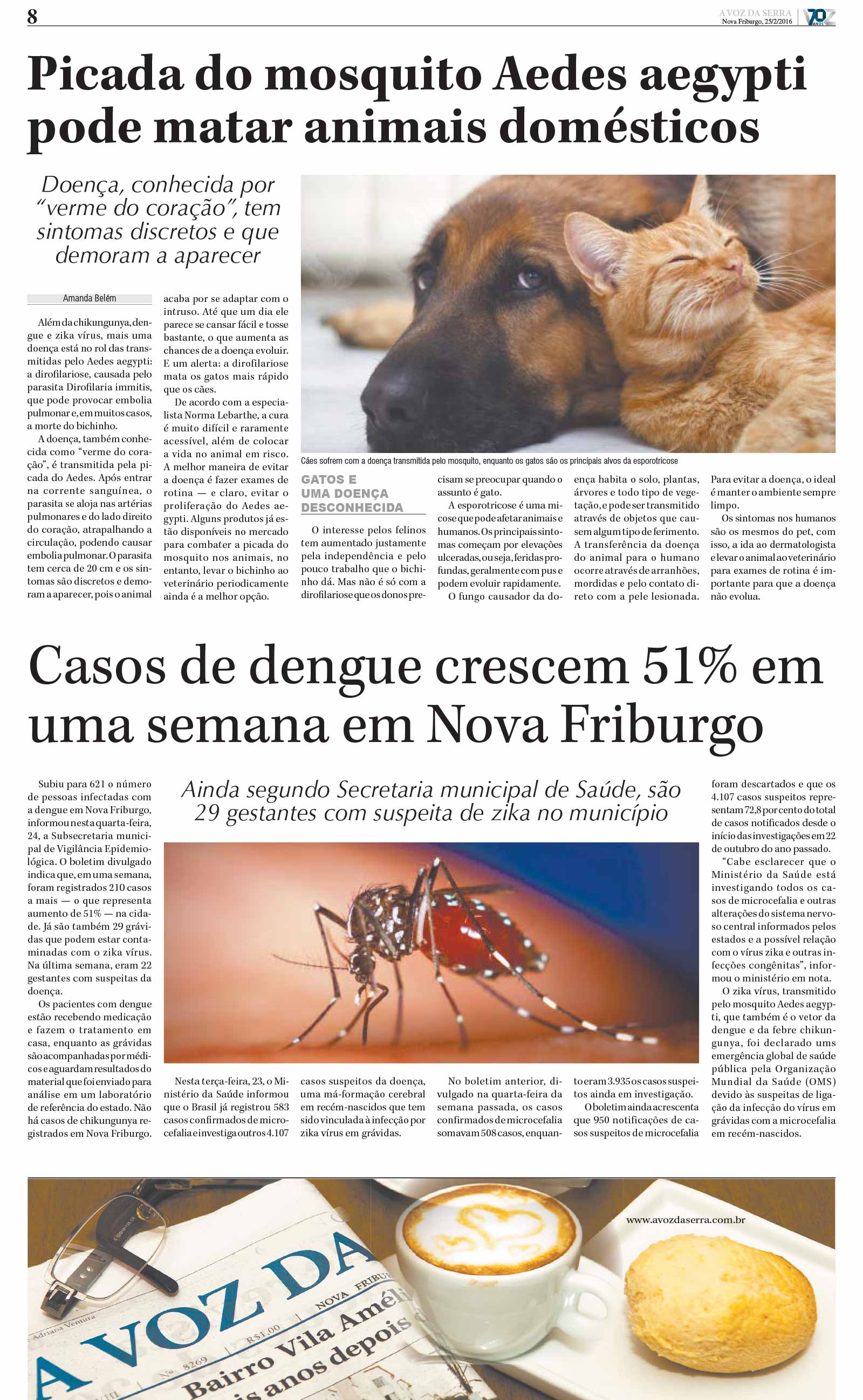 P&aacute;gina