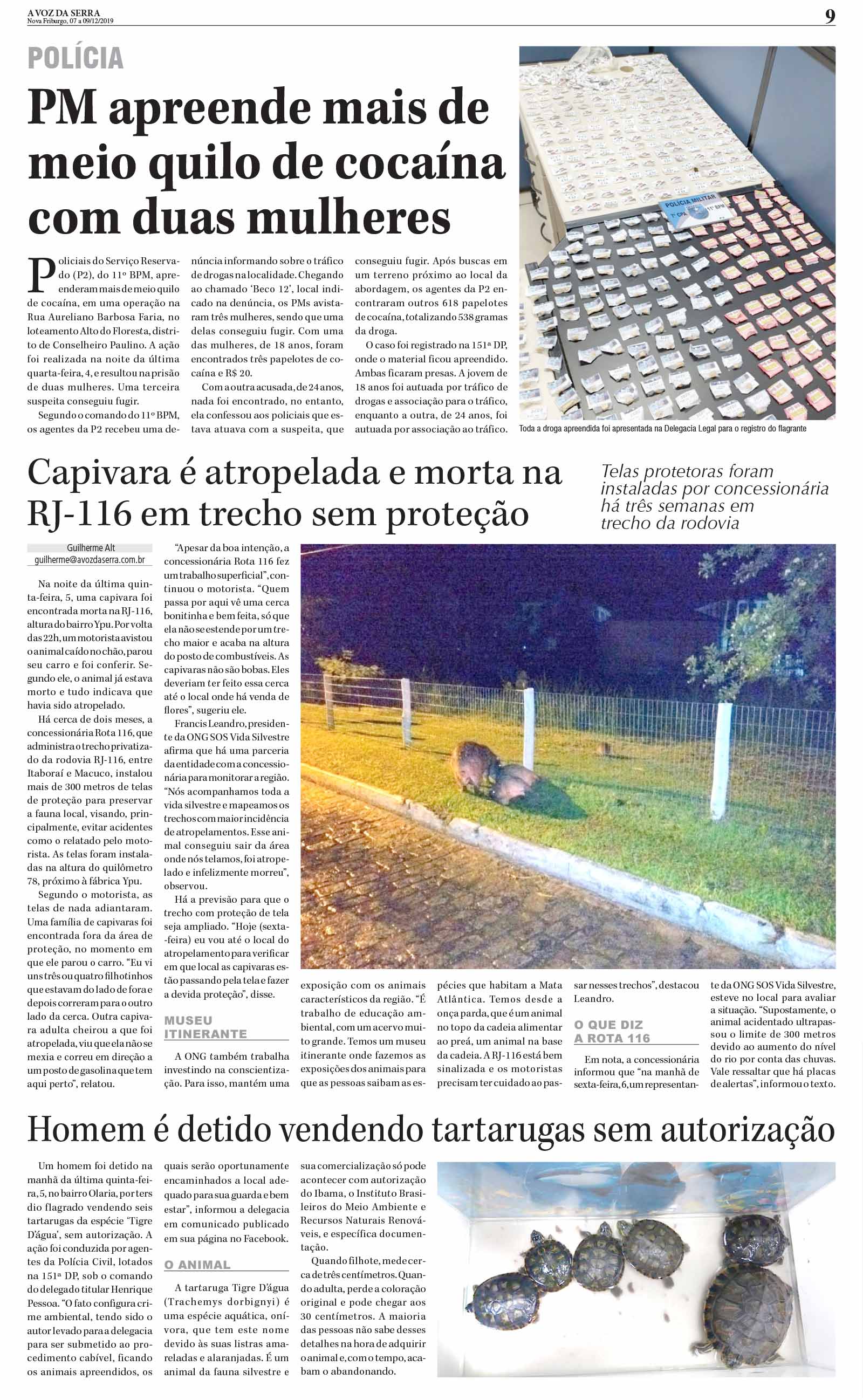 P&aacute;gina