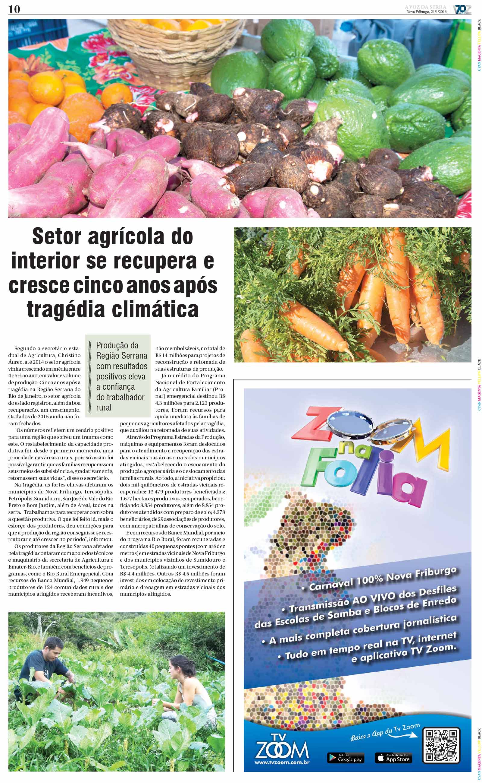 P&aacute;gina