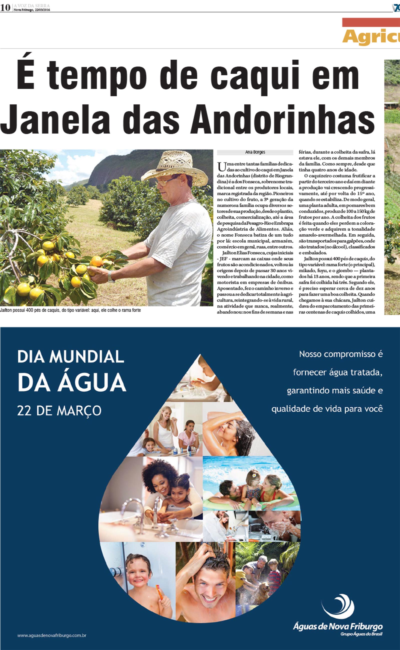P&aacute;gina