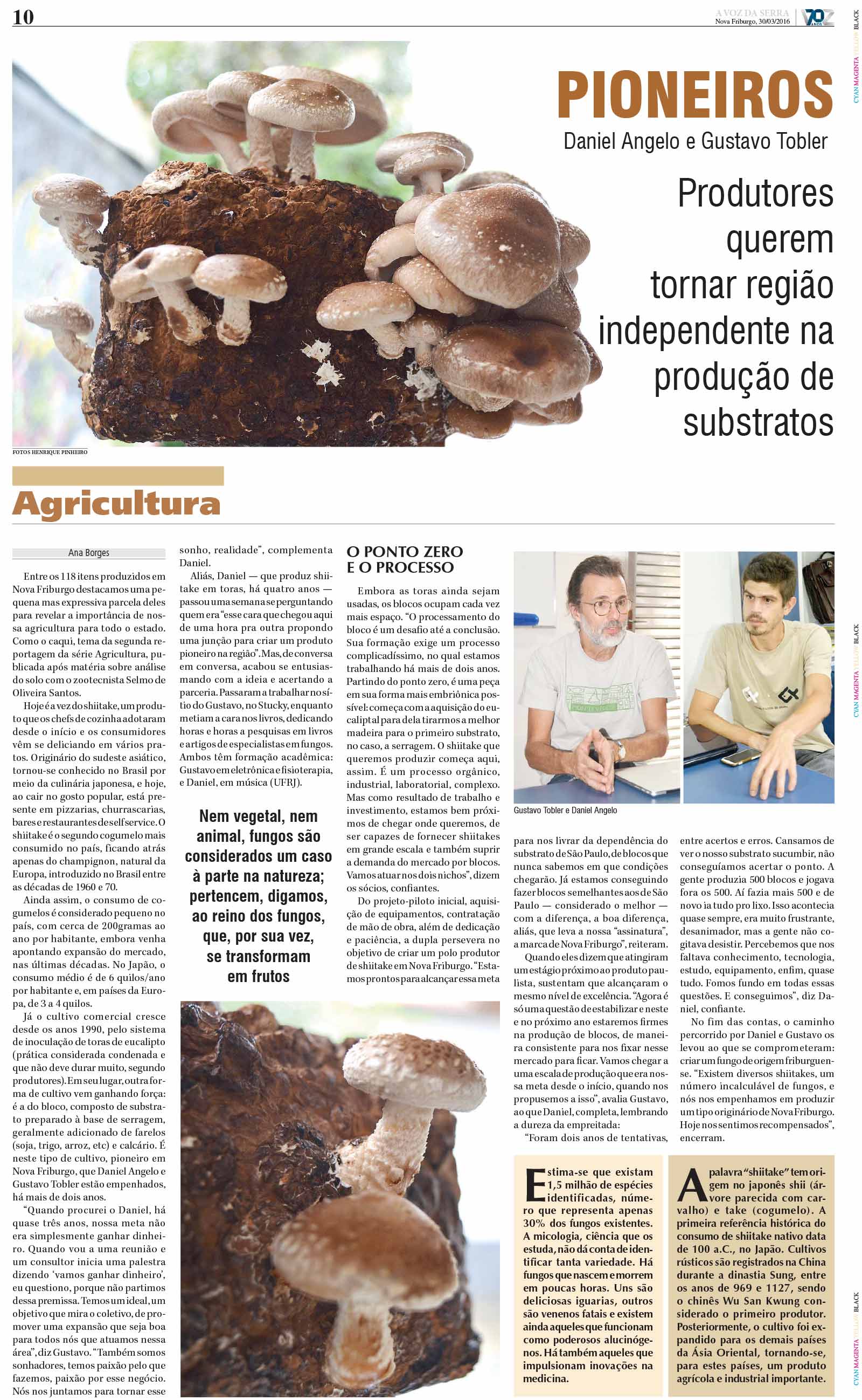 P&aacute;gina
