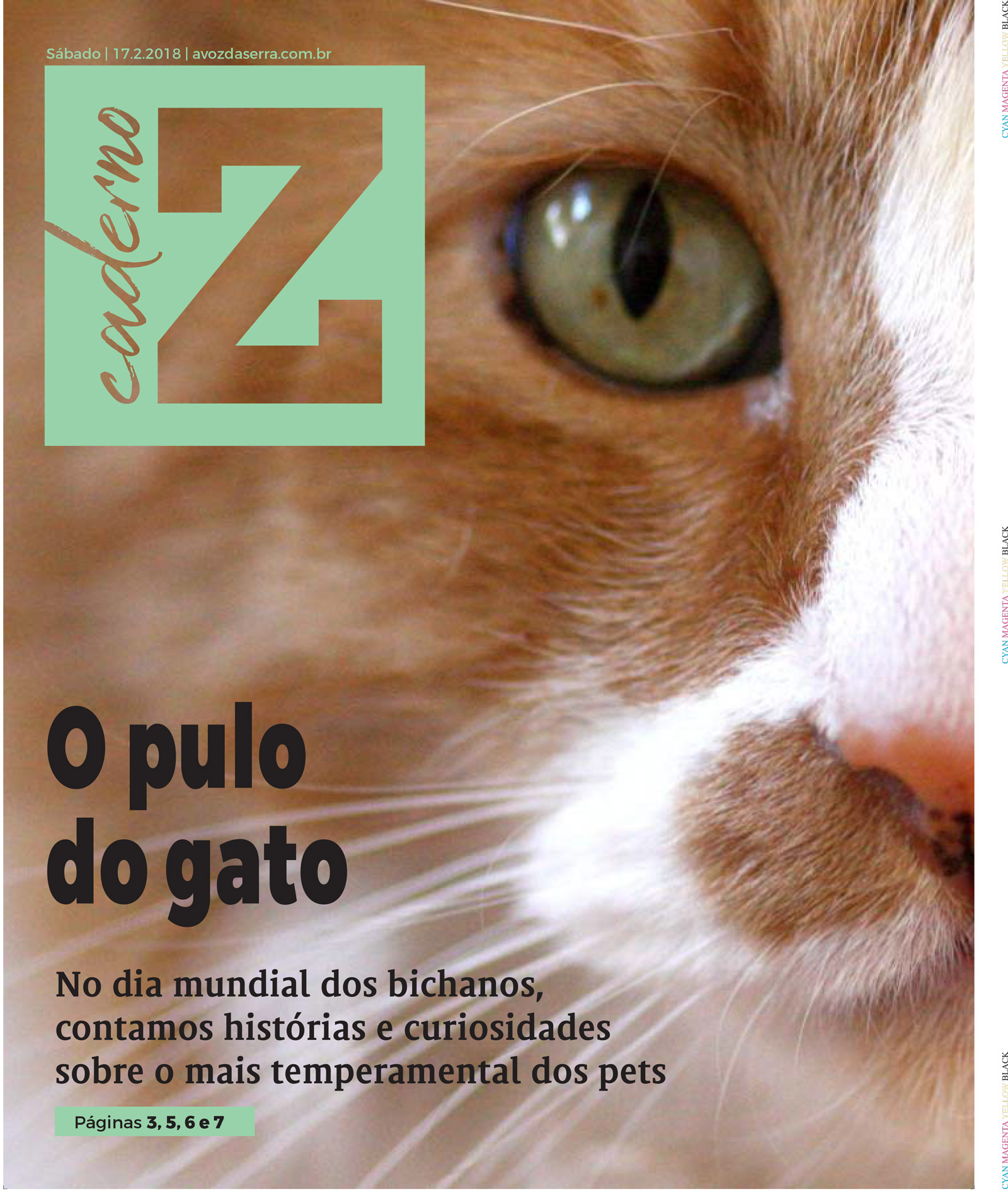P&aacute;gina