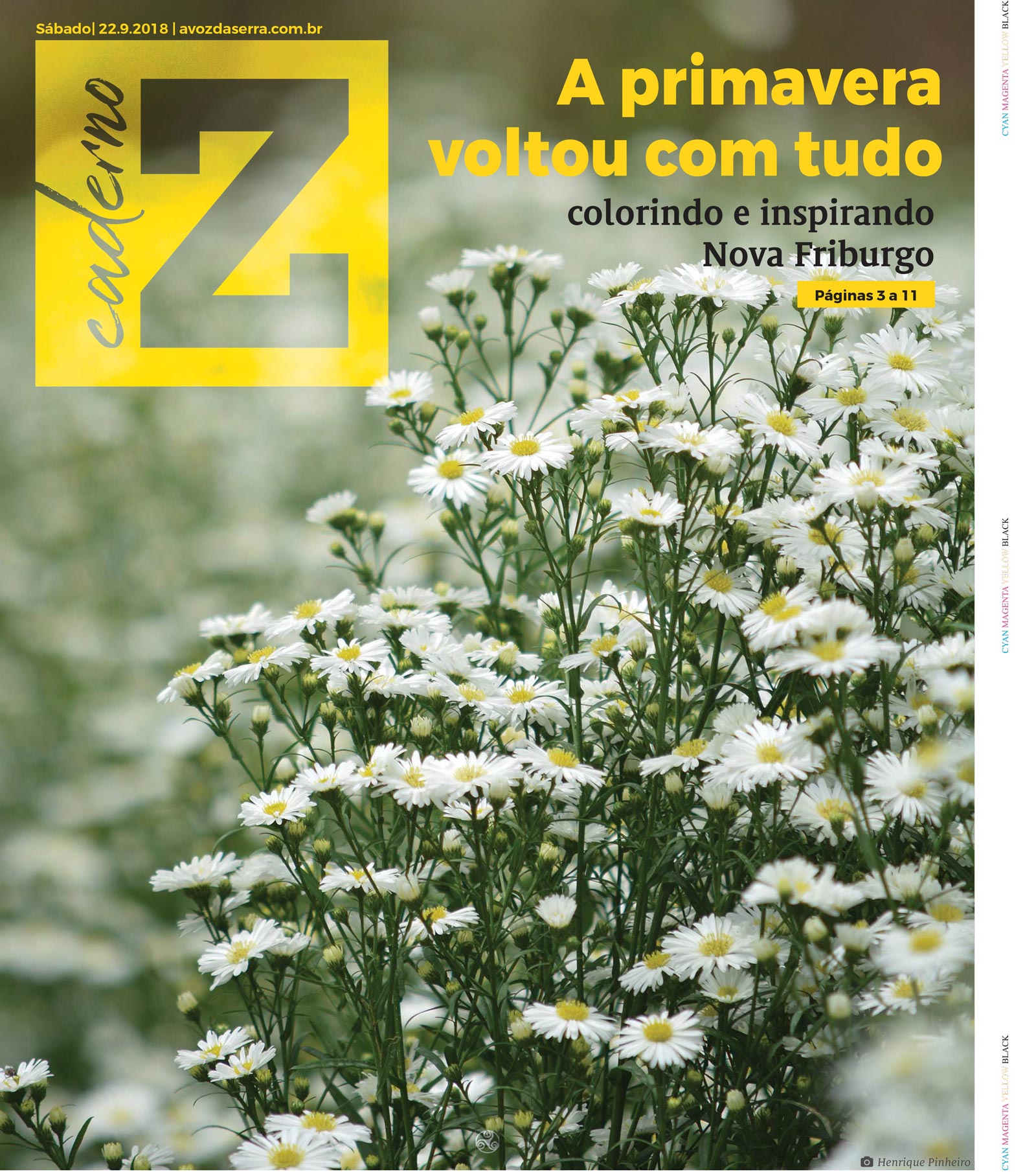 P&aacute;gina