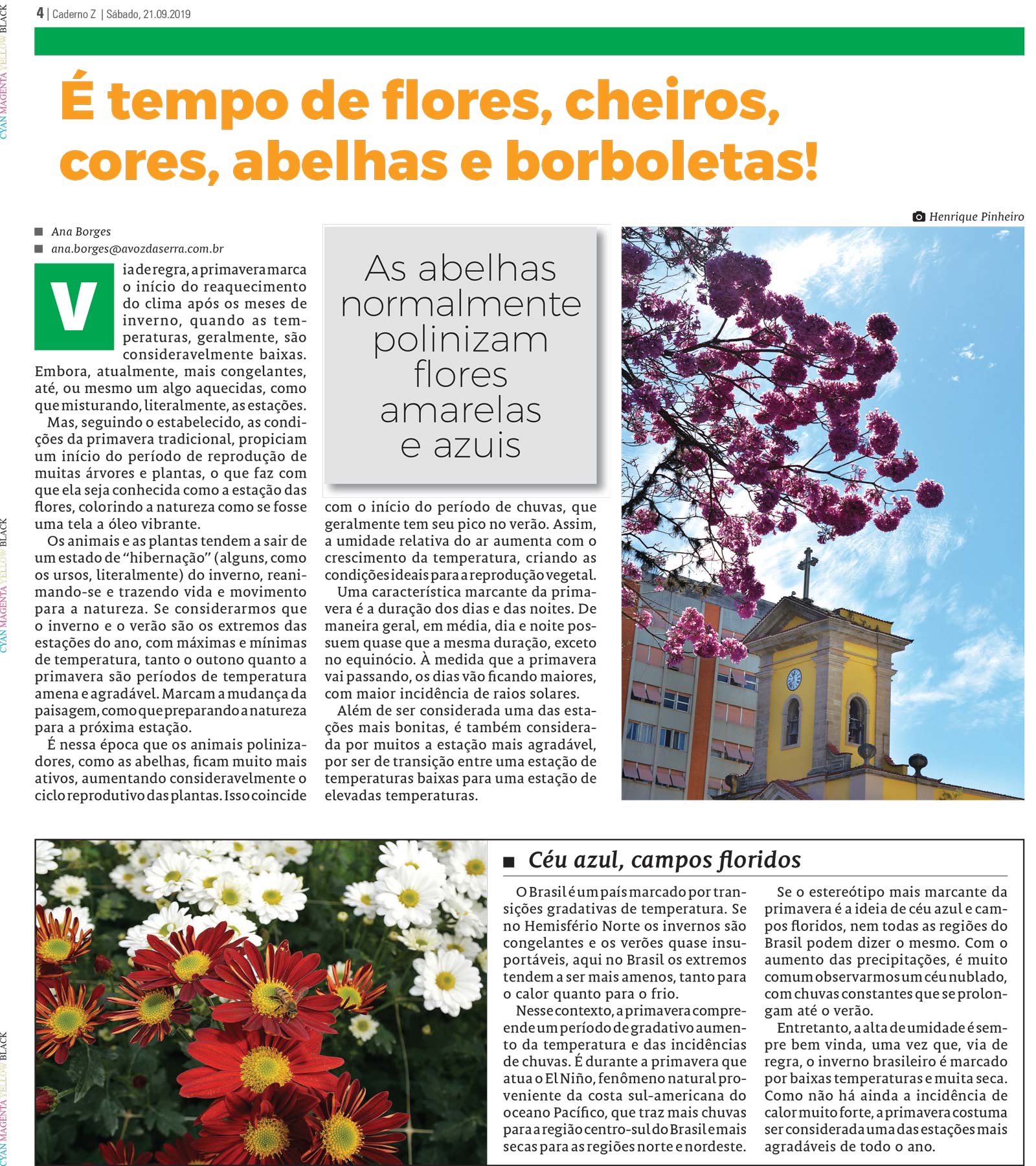 P&aacute;gina