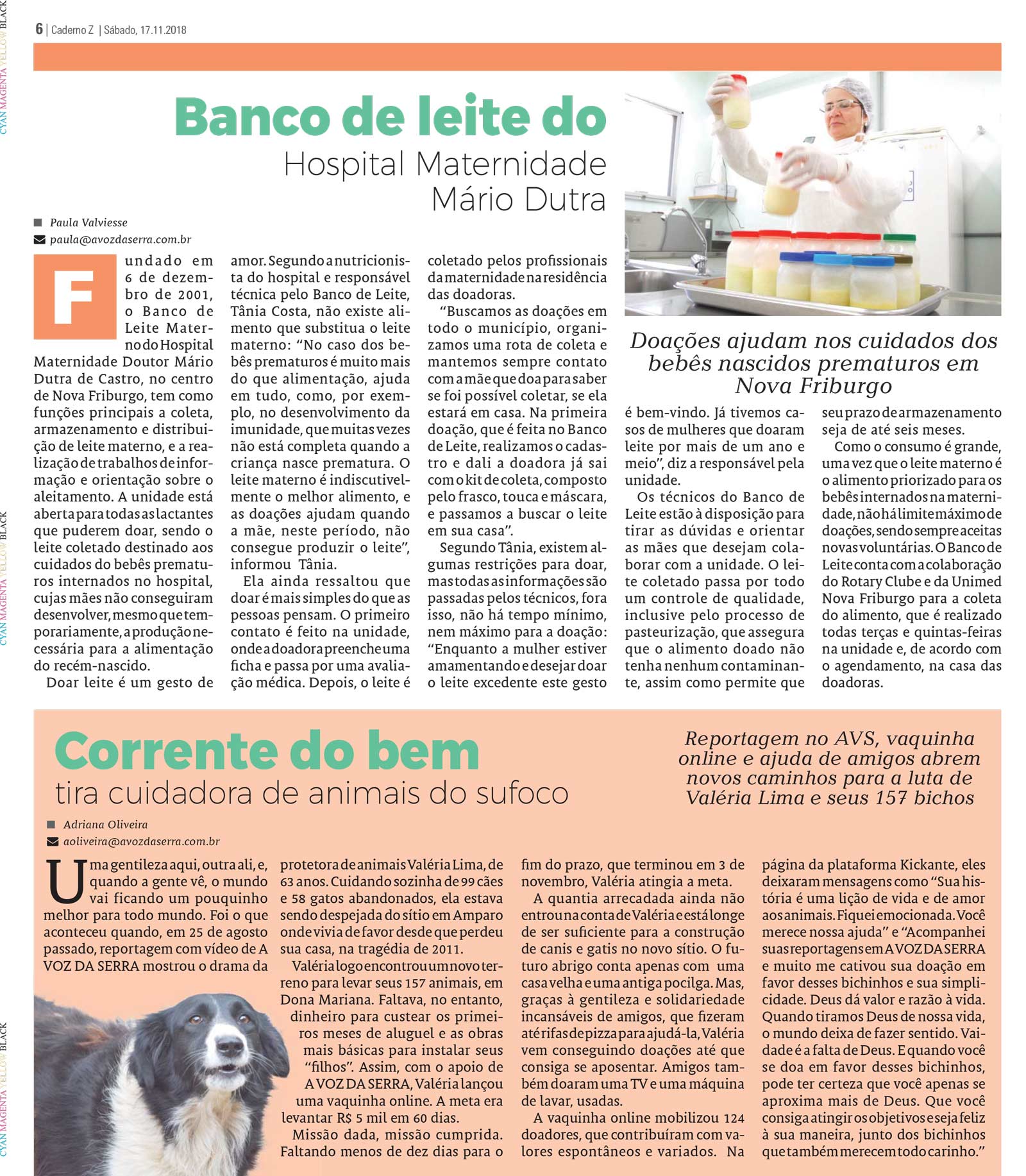 P&aacute;gina
