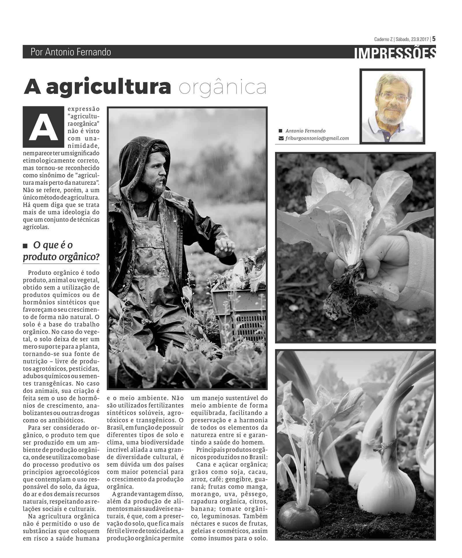 P&aacute;gina