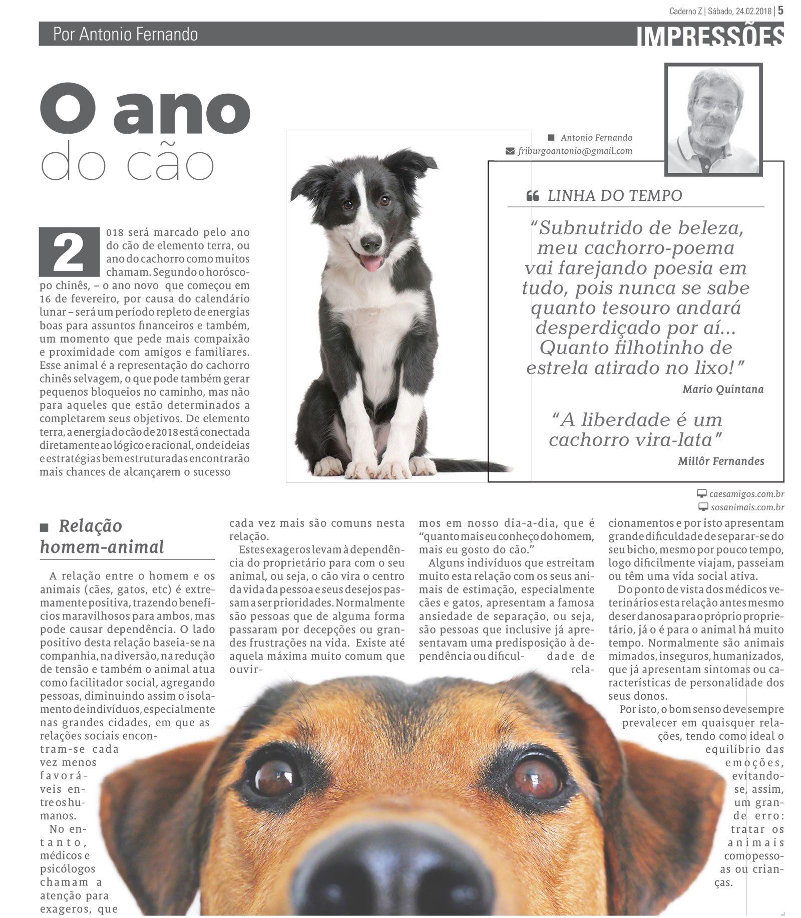 P&aacute;gina