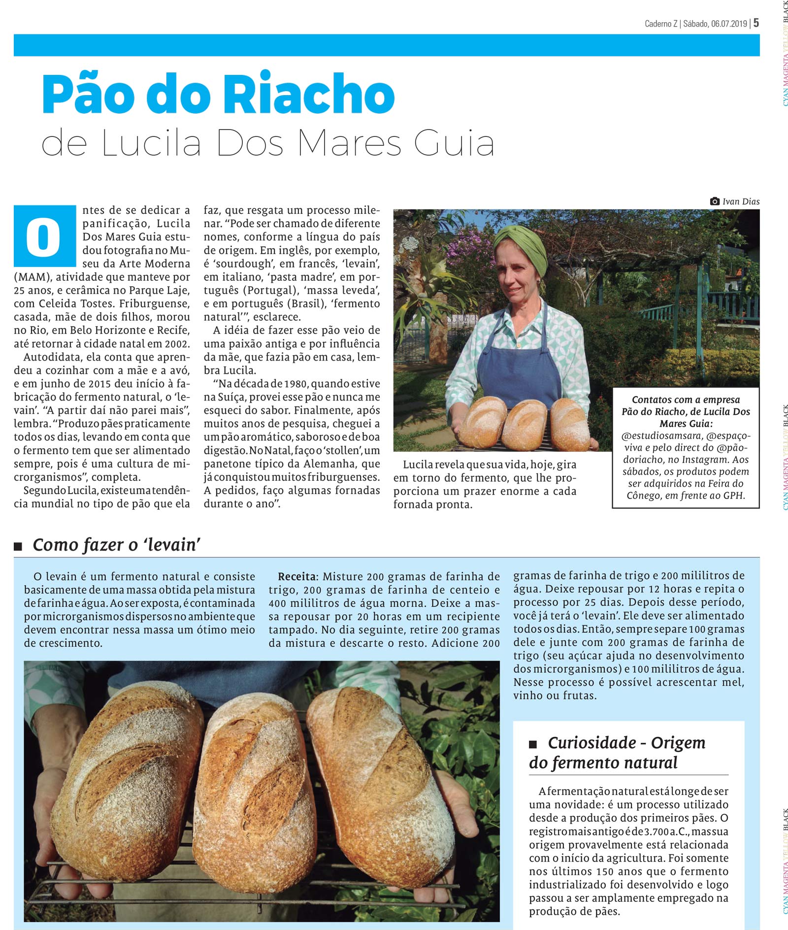 P&aacute;gina
