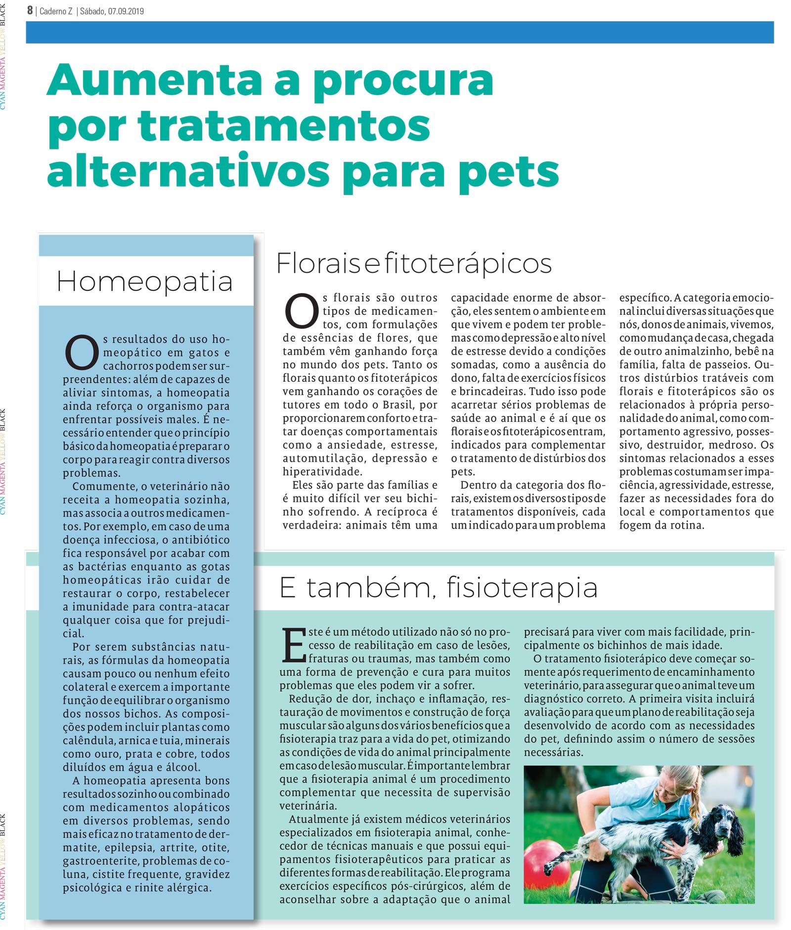 P&aacute;gina