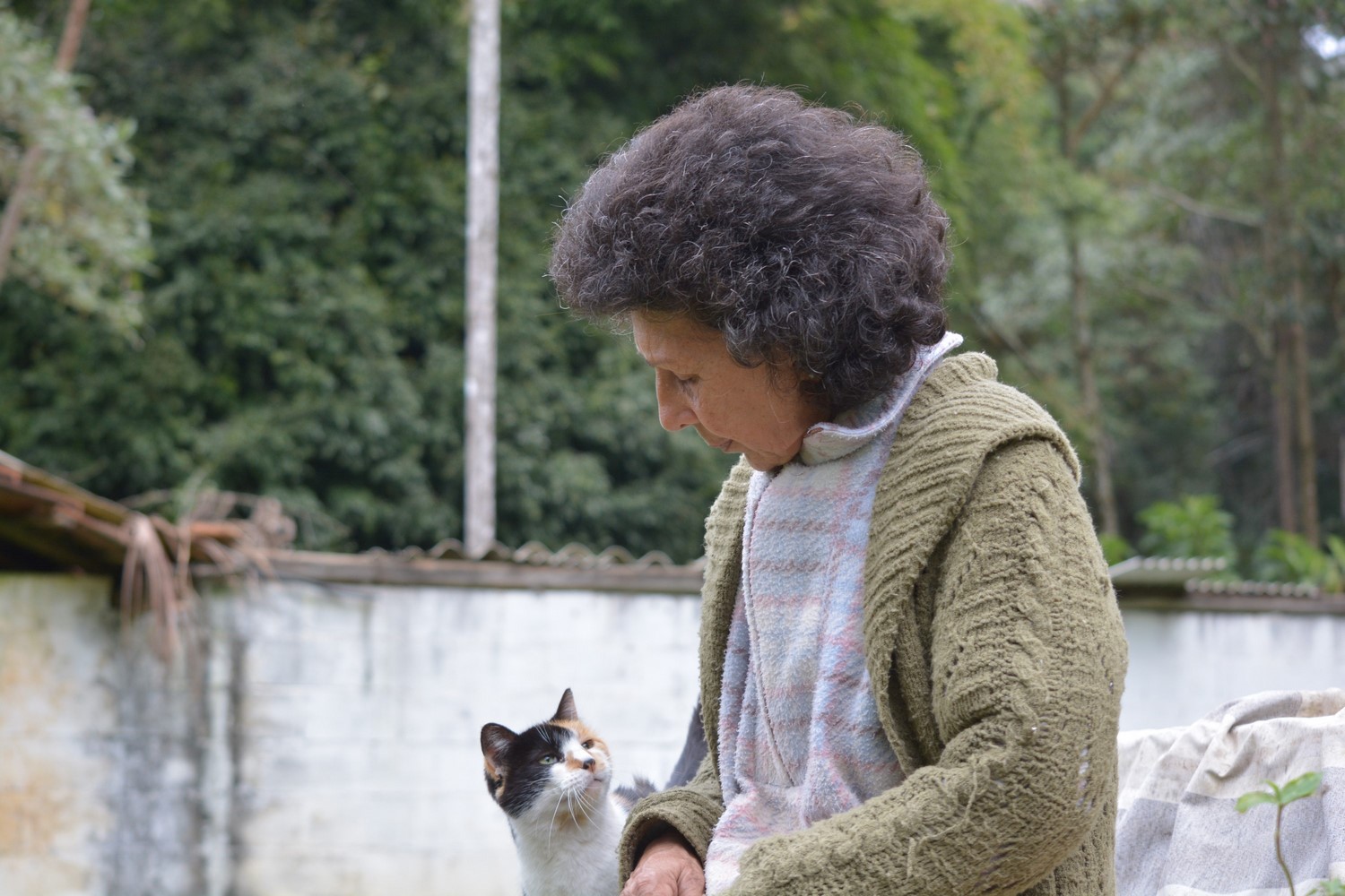 Valéria Lima conversa com um de seus 58 gatos (Foto: Henrique Pinheiro)