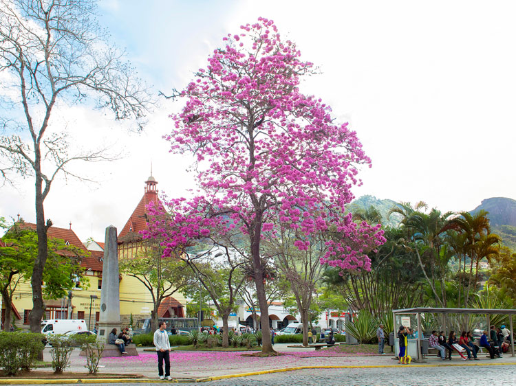 Foto da galeria