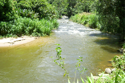 Banho de cachoeira requer  atenção redobrada no verão