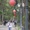 Decoração do Natal dos Sonhos começa a colorir as ruas e praças da cidade