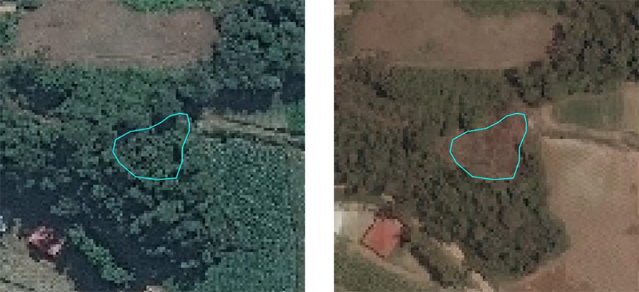 Um coração desmatado: a mesma área em julho e outubro do ano passado fotografada pelos satélites do Inea (Inea/Olho no Verde)