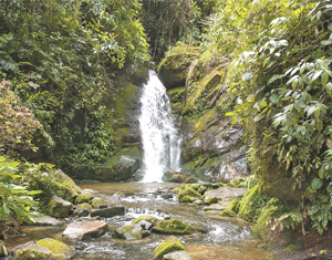 Tesouros de Nova Friburgo: Cachoeira São José