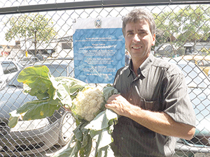 Mais conforto e proteção aos agricultores na Ceasa