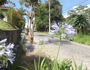 Jardim Marajói: um bom lugar para morar