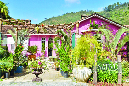 Espaço Nativo é opção para quem quer mais natureza dentro de casa