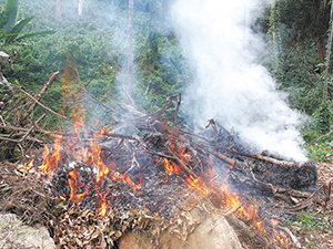 Temporada de incêndios florestais evidencia  a importância da extinção de antigos hábitos