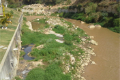 Rios assoreados em vários pontos do município preocupam a comunidade (Fotos: Verone Barros )