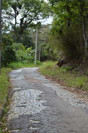 Alto do Mozer: muito verde, muitos problemas