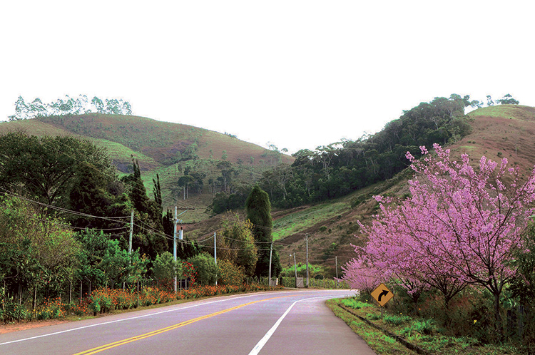 Estrada Friburgo-Teresópolis (Foto: Arquivo A VOZ DA SERRA)
