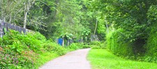 Belas paisagens e mostra fotográfica de Regina Lo Bianco são atrações em Mury