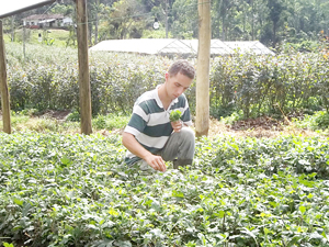 Região Serrana comemora resultados positivos na agricultura