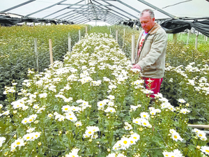 Flores de Nova Friburgo ganham embalagens padronizadas