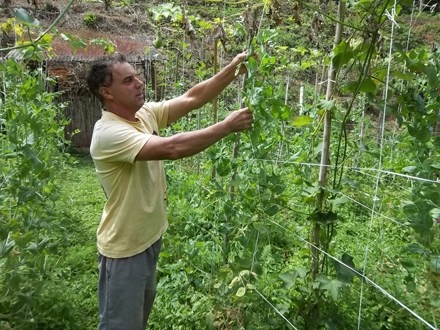 Produção de orgânicos cada vez mais forte na Região Serrana