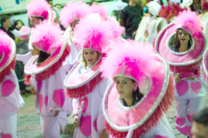 Blocos de enredo empolgaram na noite de sábado de carnaval