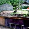 Moradores de Granja Spinelli se dizem abandonados e reclamam de falta de infraestrutura no bairro