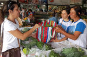 Alimentos orgânicos são a nova aposta de agricultores familiares