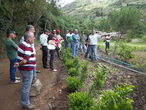 Parcerias com iniciativa privada promovem tecnologia entre os agricultores da Região Serrana