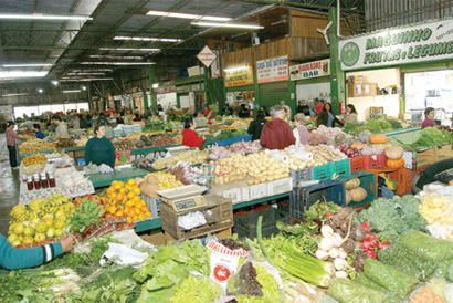 Feira da Vila Amélia: para voltar toda semana 