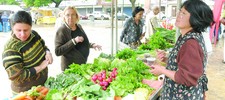 Feira da Agricultura Familiar