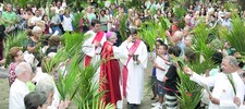 Na abertura da Semana Santa, d. Edney lembra missão dos católicos na reconstrução da cidade