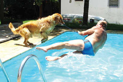 Psicologia também é coisa pra cachorro