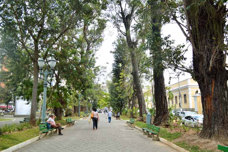 Defesa Civil fará poda emergencial na Praça Getúlio Vargas