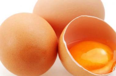 O ovo, afinal, faz bem ou mal à saúde (Reprodução)