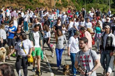 Cerca de 600 pessoas e 500 cãezinhos participaram da Cãominhada neste domingo, 28 (Divulgação/Bom pra Cachorro)