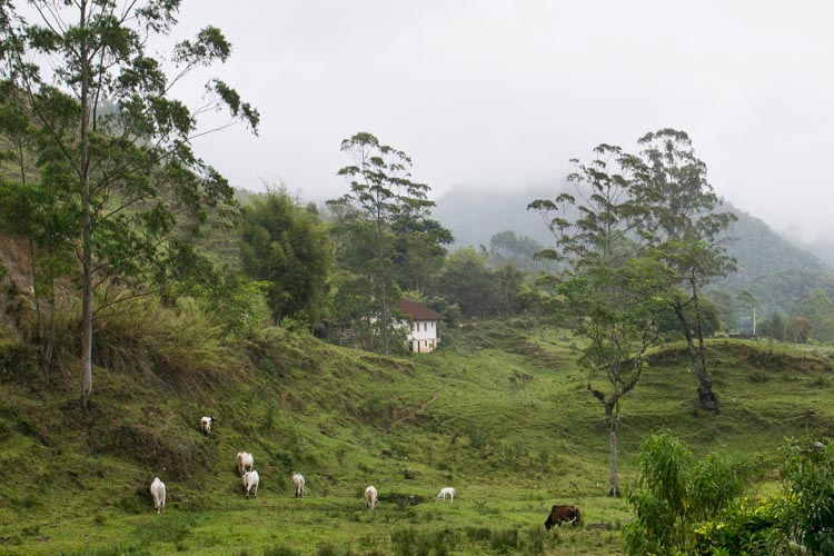 Rio Bonito de Lumiar (Foto: Regina Lo Bianco)