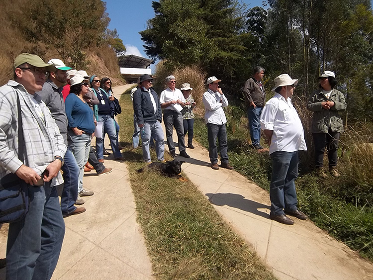 Técnicos e pesquisadores avaliam resultados de experimentos desenvolvidos na microbaciia Barracão dos Mendes (Foto: Paulo Filgueiras)